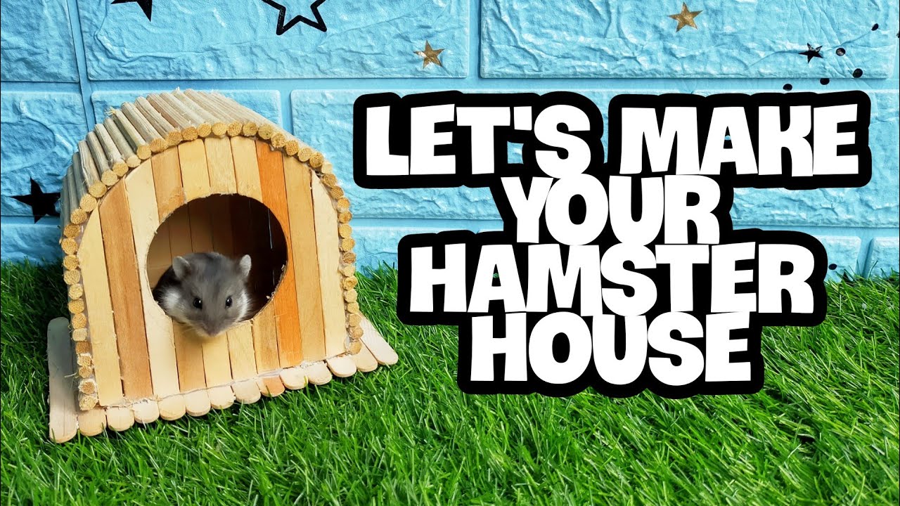 DIY a Hamster House Using Popsicle Stick