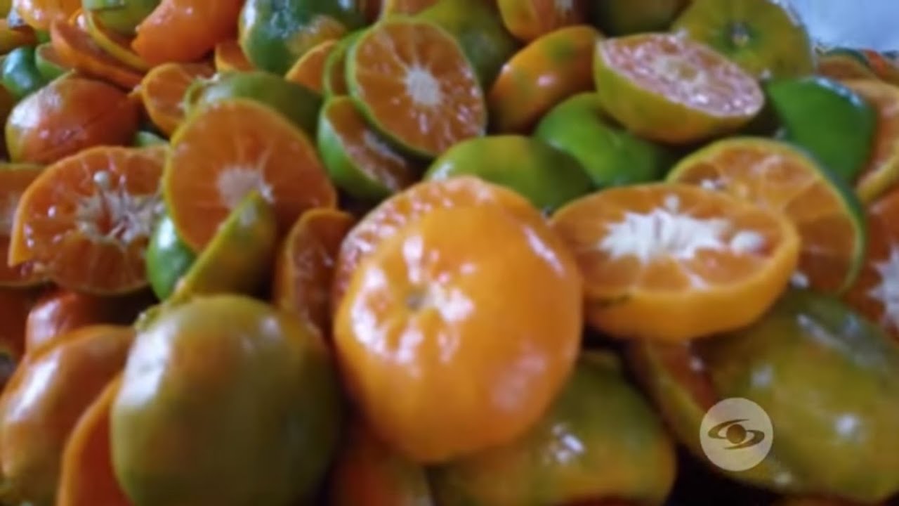 Producción orgánica de naranja y mandarina en vino - La Finca de Hoy