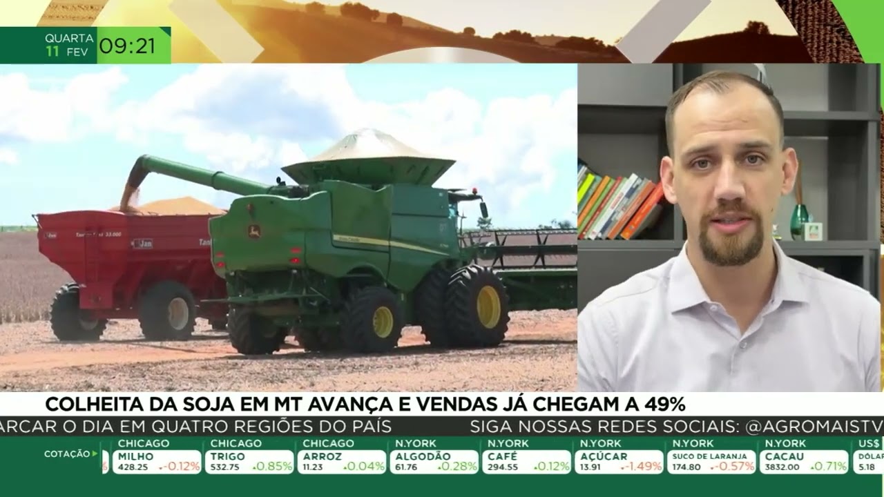 Colheita da soja em MT avança e vendas já chegam a 49%