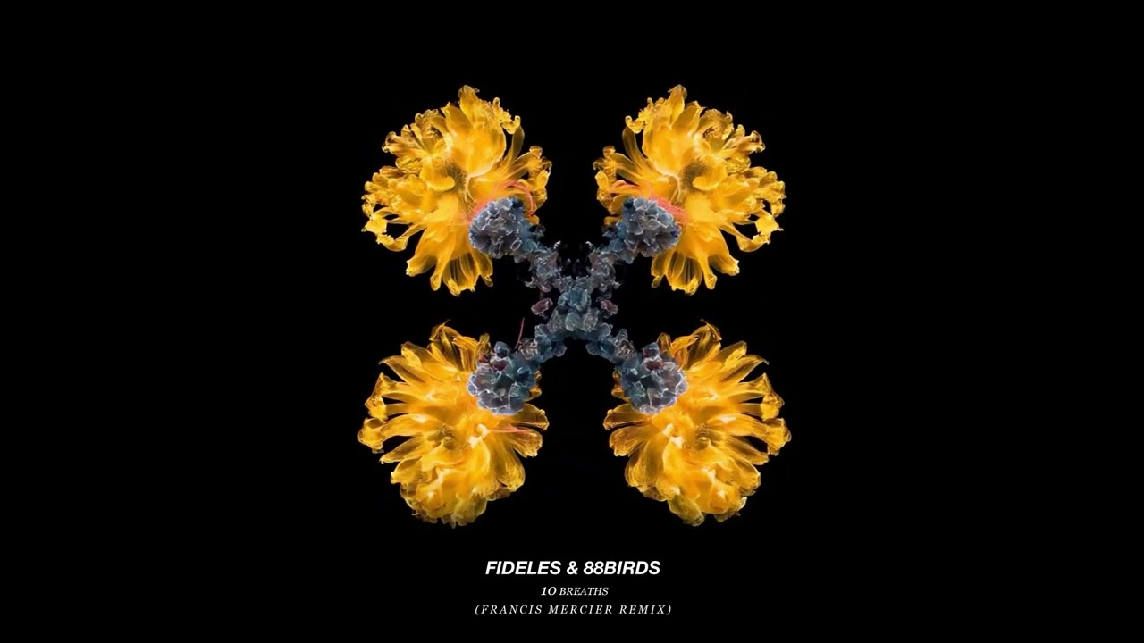 Fideles feat 88Birds - 10 Breaths (Francis Mercier Remix) (Official Audio)