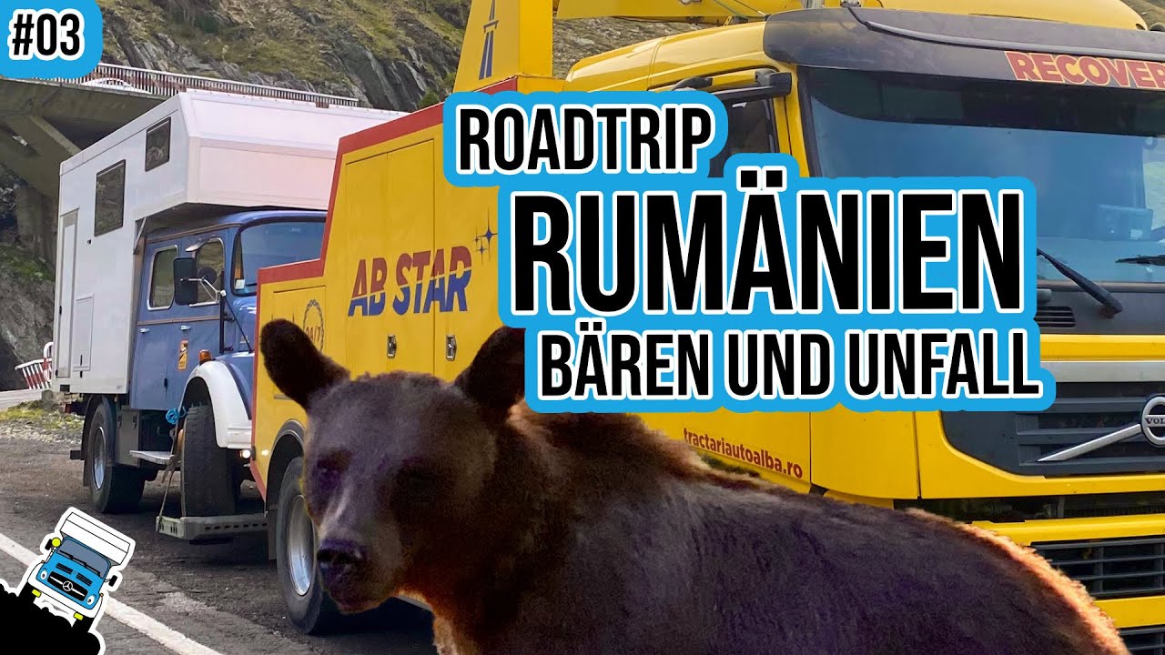 Endet unsere Rumänien Reise hier? Bären 🐻 und Unfall 🚨 in den Karpaten