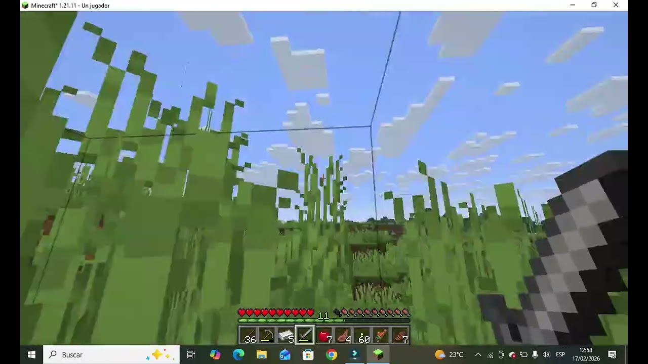Nos vamos a una cueva Minecraft (16)