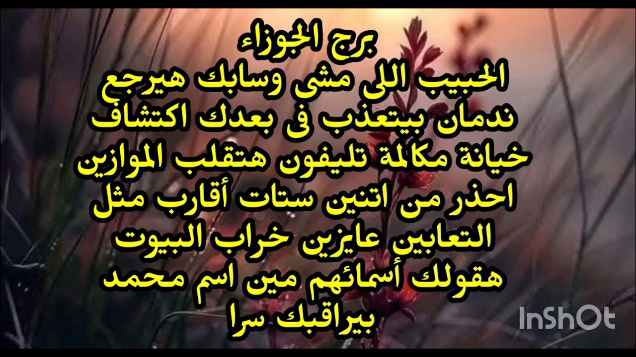 برج الجوزاء ♊️ الحبيب اللى مشى وسابك هيرجع ندمان بيتعذب فى بعدك اكتشاف خيانة مكالمة تليفون هتقلب 