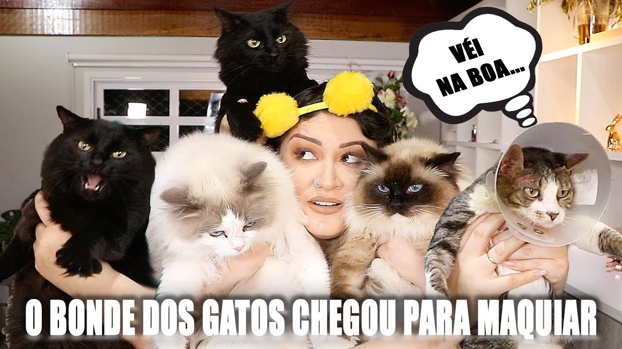 MEUS GATOS ESCOLHERAM A MINHA MAKE E FOI BEM LOCO | Duda Fernandes