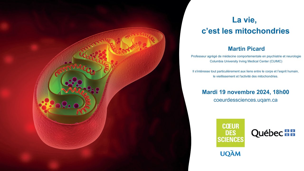 La vie, c’est les mitochondries - Une conférence de Martin Picard - 19 novembre 2024