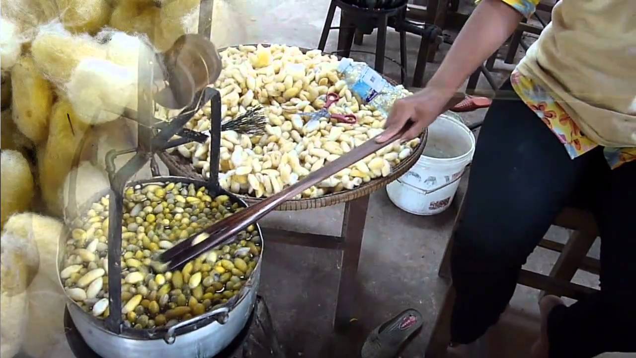 La vraie fabrication de la Soie