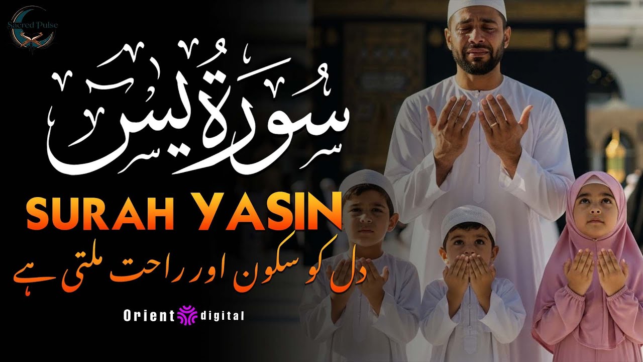 Surah Yaseen with Urdu & Hindi Translation | Beautiful Quran Tilawat by Sheikh Omar Qraitna | اردو