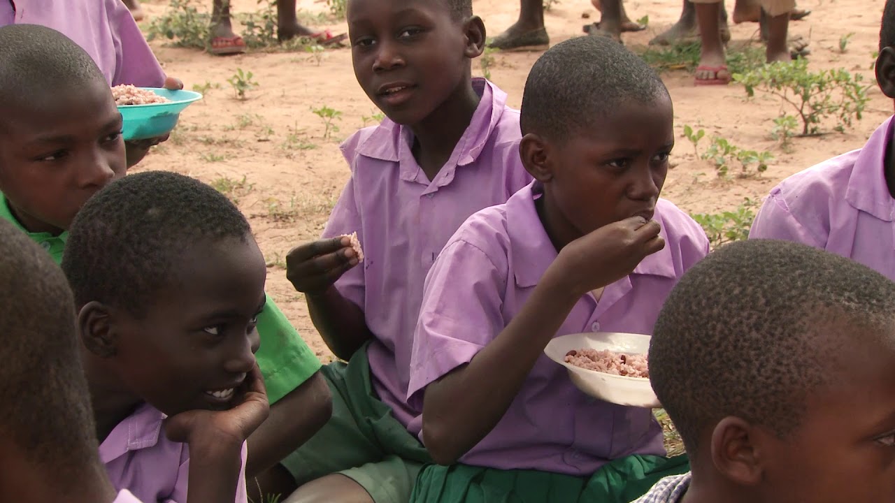 Home Grown School Meals Project