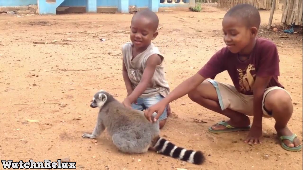 Wild Animals Showing Love to Human #9