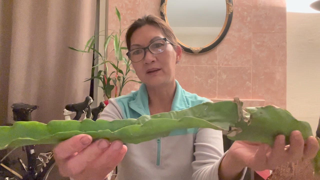 How to root in water with heat mat