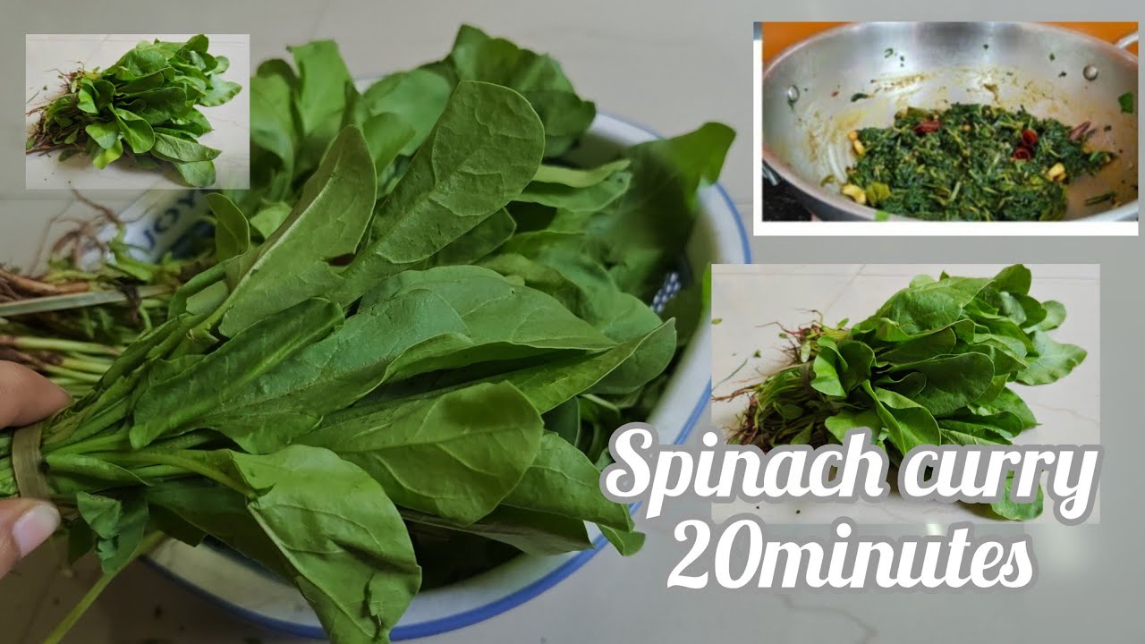 EP-37| 20 minutes recipe Spinach curry| Lunch box curries easy to make for beginners 