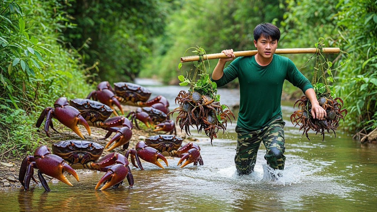 CEO leaves the city for the forest, Catching crabs, Harvesting agricultural products