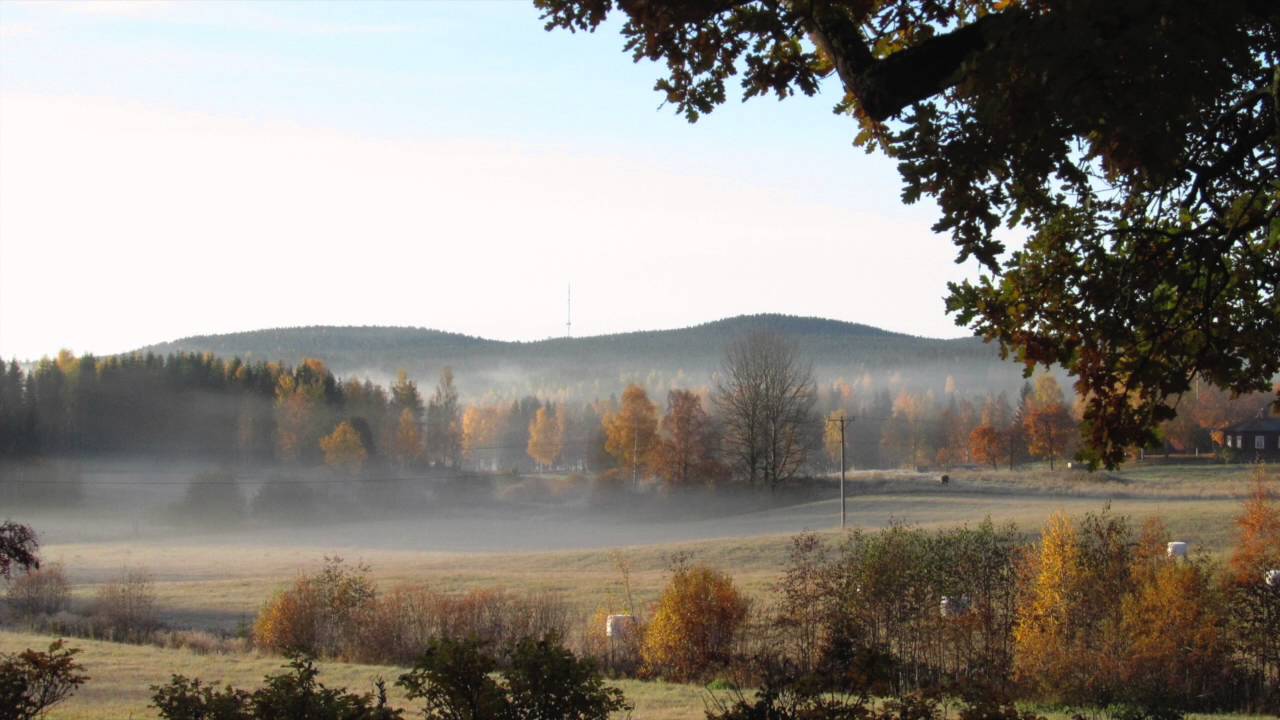 Autumn song