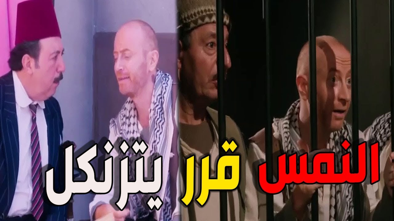 هالنص نصيص النمس مشربك العالم ببعضا ونازل نصب عهالعباد اضحك مع أجمل نهفات النمس في باب الحارة