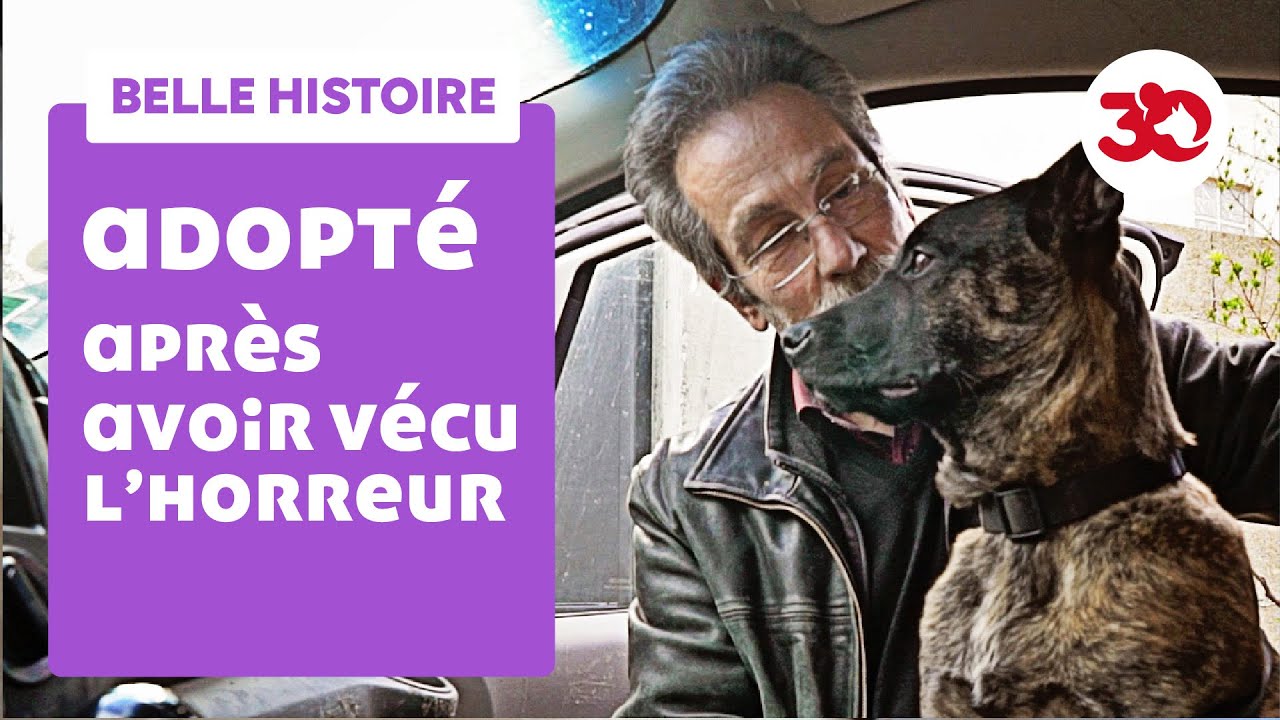 Jeté par la fenêtre d'une voiture, Mumble va beaucoup mieux !