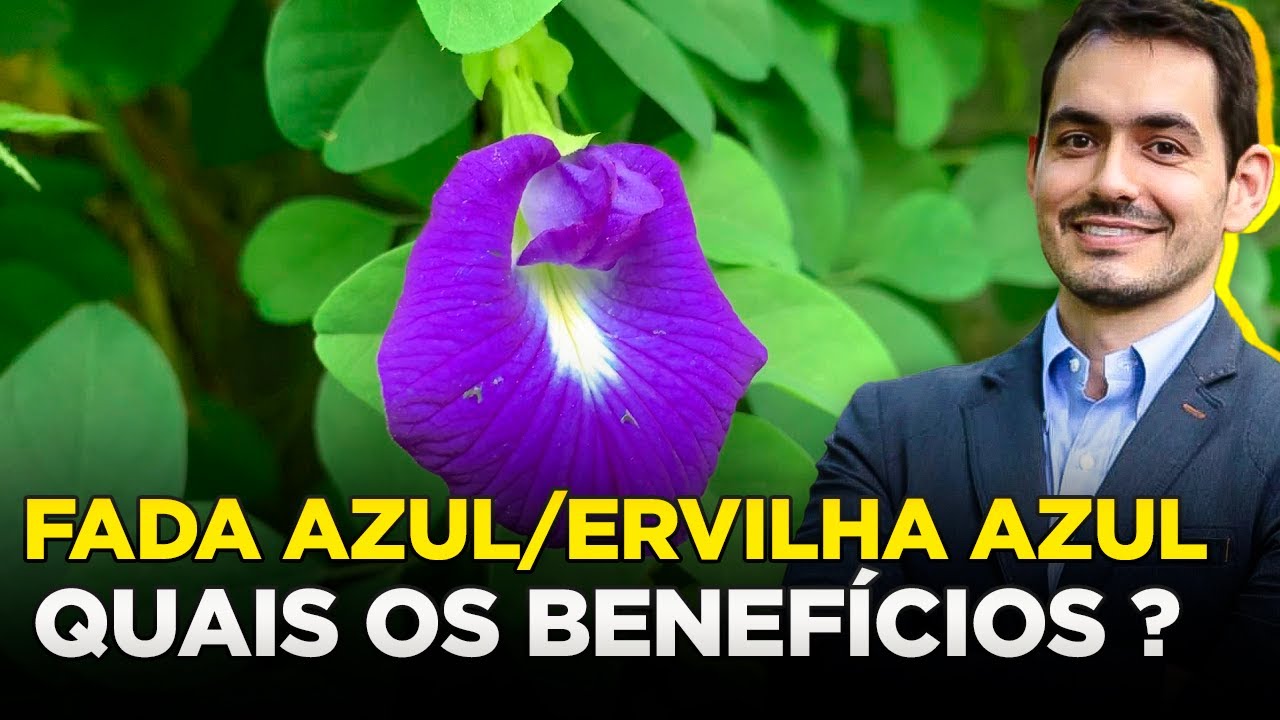 CHÁ AZUL: QUAIS OS BENEFÍCIOS? #nutricionista_gustavo