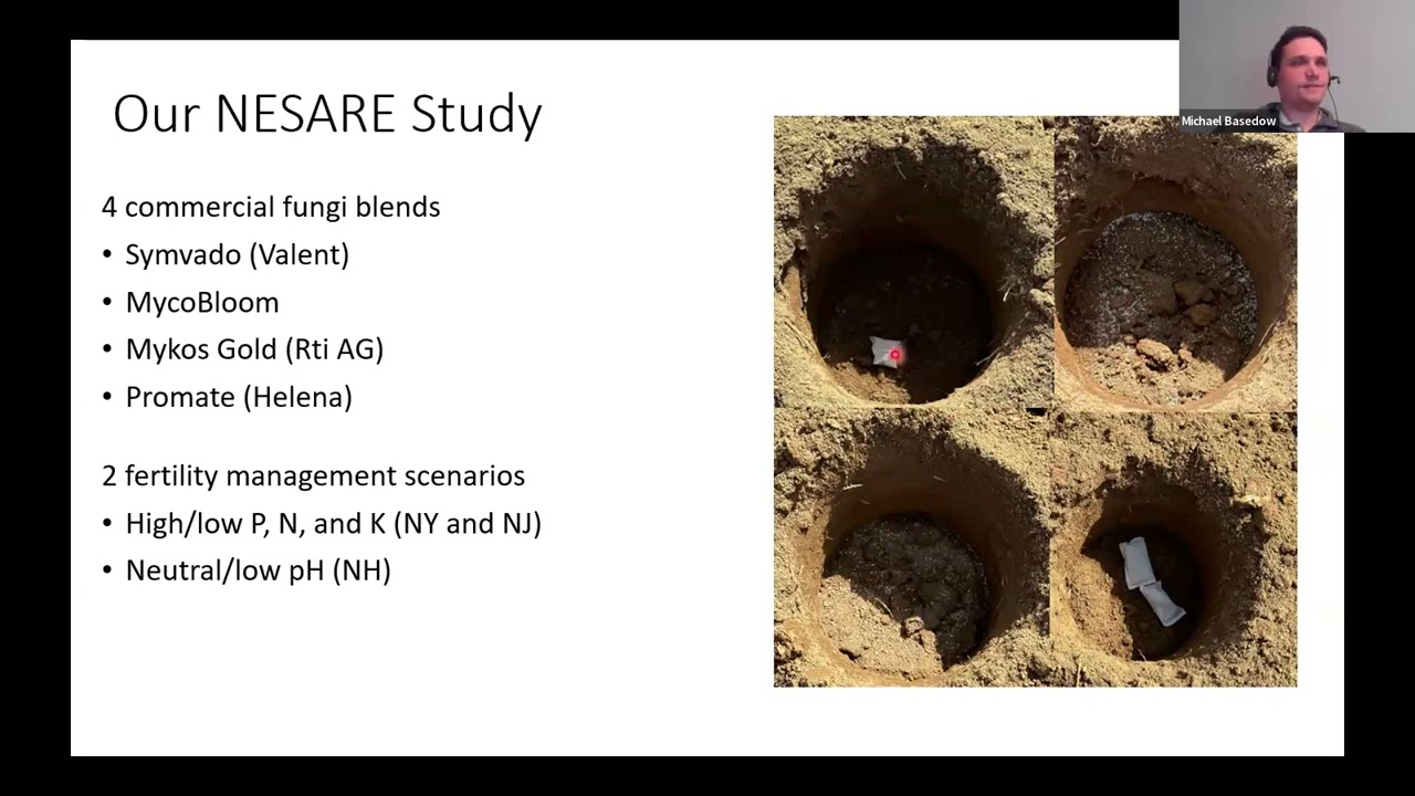 Серия вебинаров по зимним фруктам Корнельского университета 2026 года