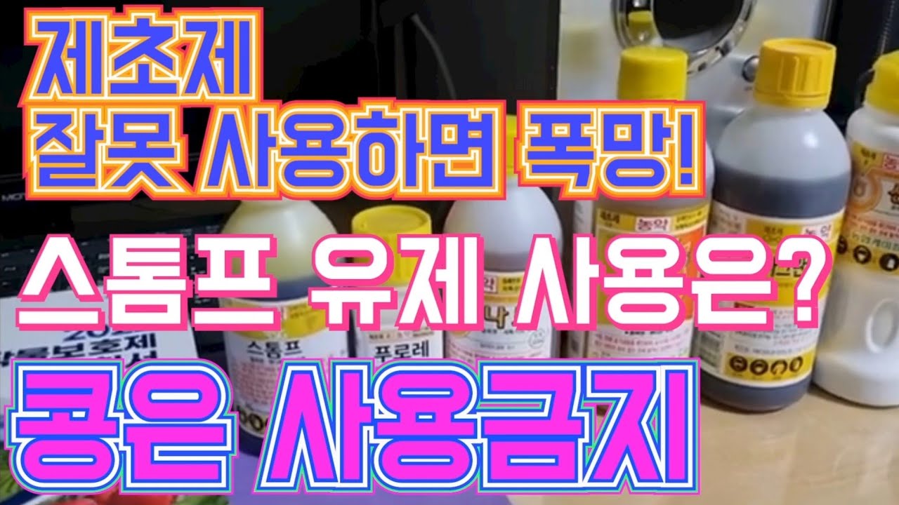 제초제 잘못 사용하면 폭망/ 스톰프유제 사용은? 콩 파종 후 사용금지?