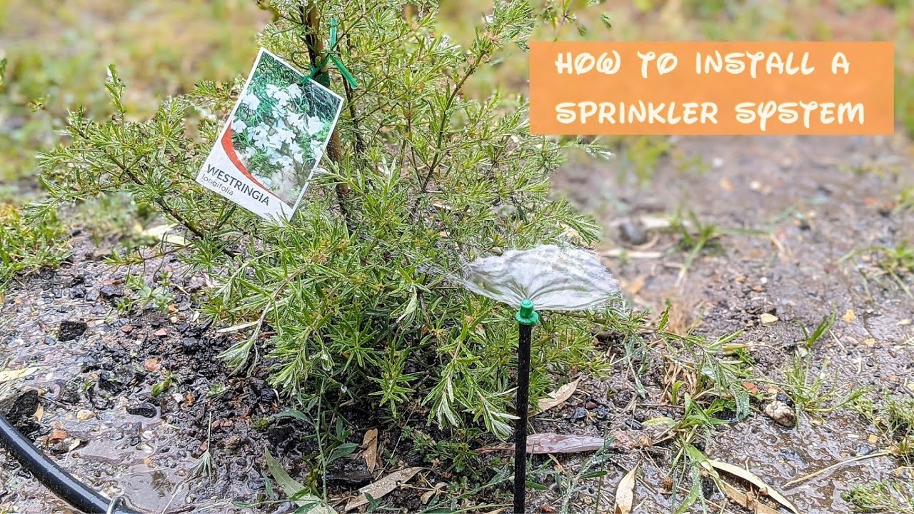 HOW TO INSTALL A SPRINKLER SYSTEM | HOW TO INSTALL EASY IRRIGATION SYSTEM FOR GARDEN #GARDEN #IRRIGA