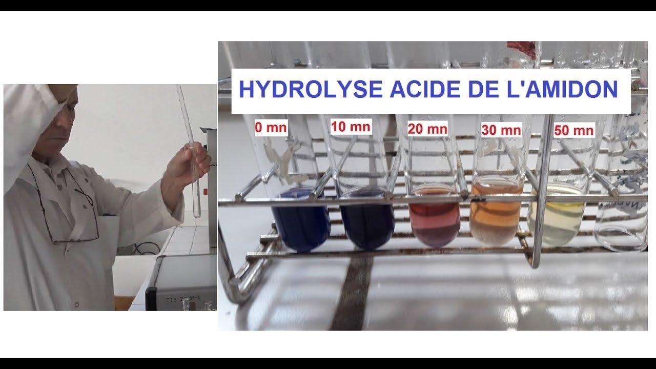 Hydrolyse acide et à chaud de l'amidon. TP