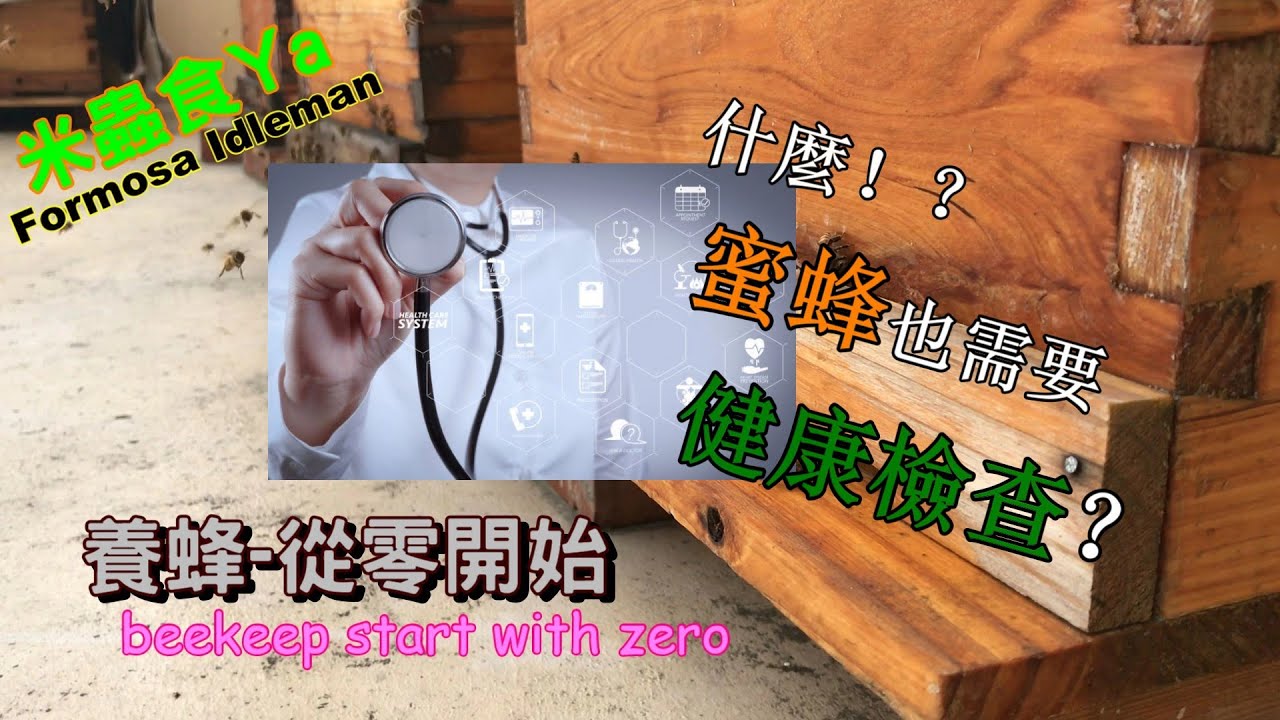[養蜂-從零開始]小姐！妳體格不錯喔！要不要應徵啊～？(談查蜂