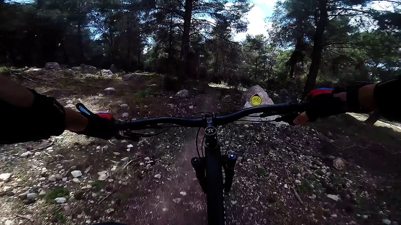 סינגל יער קרית אתא