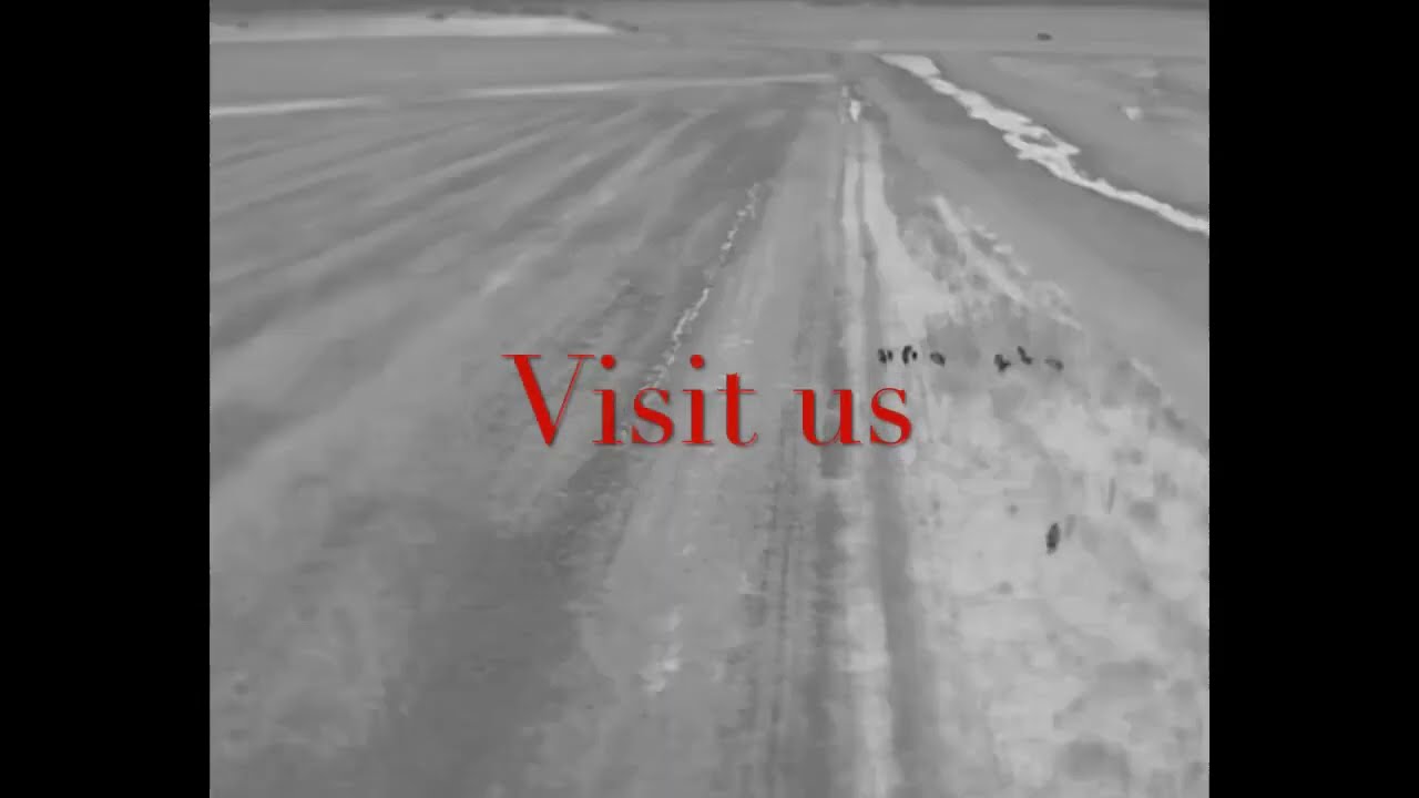 Thermal hog hunting in Texas with a drone!