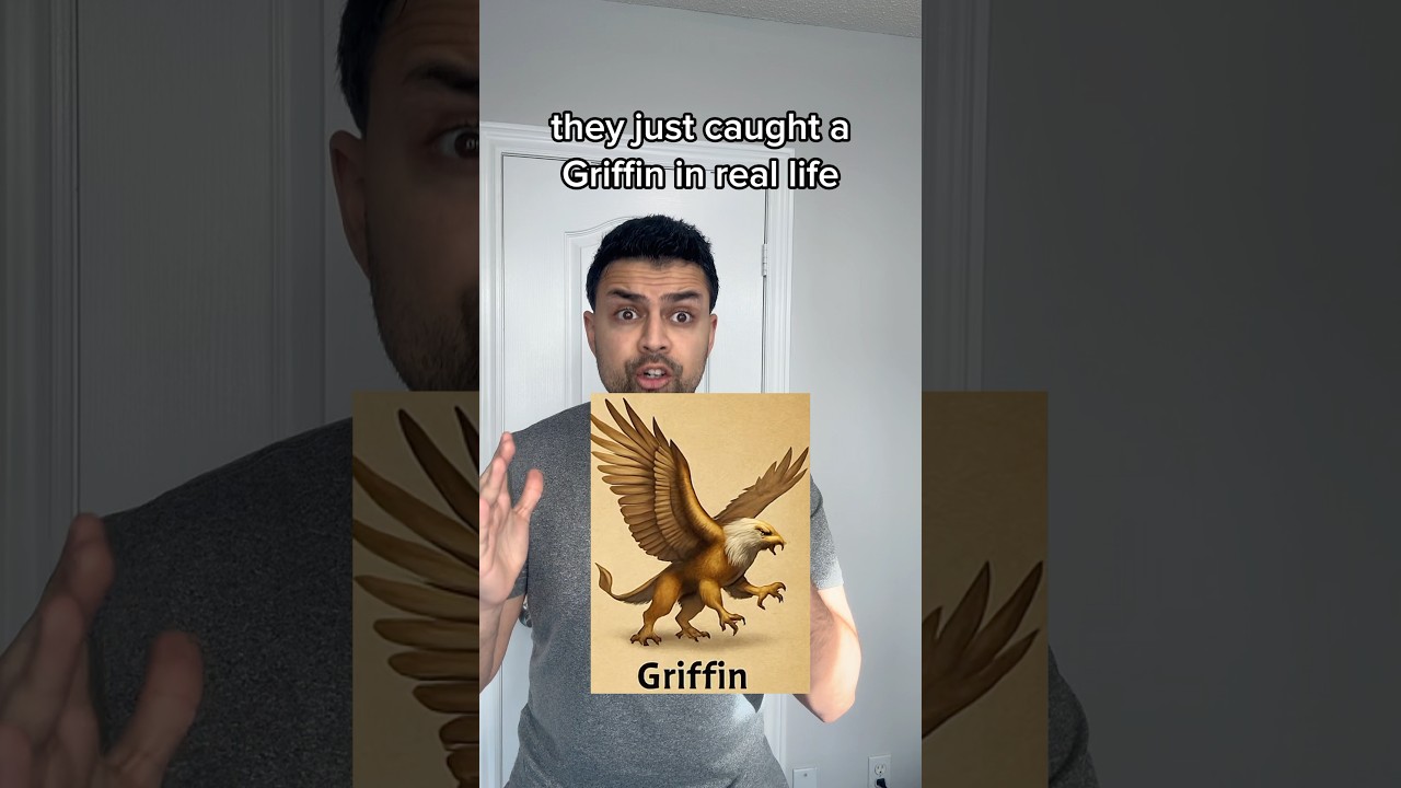 This griffin definitely ai 