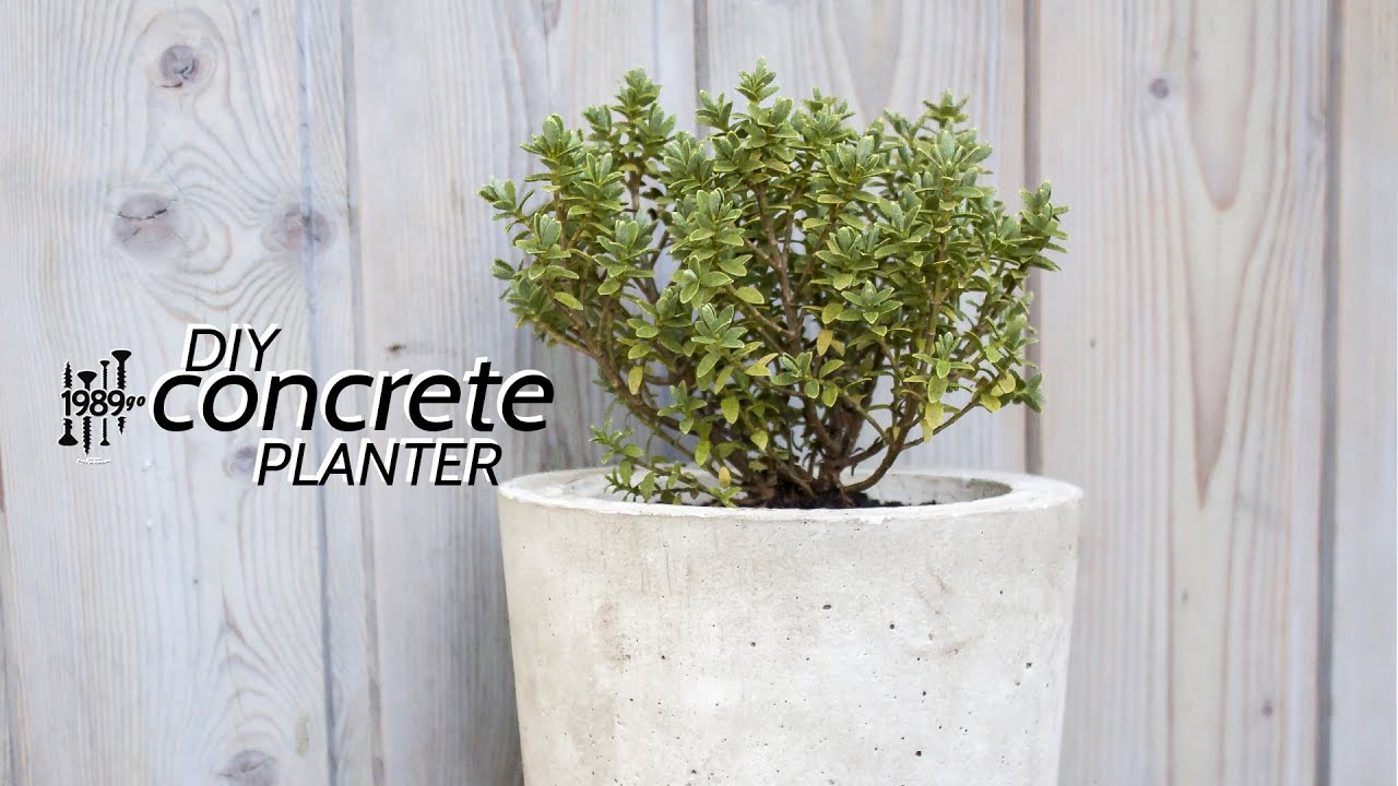 Concrete Planter | easy DIY