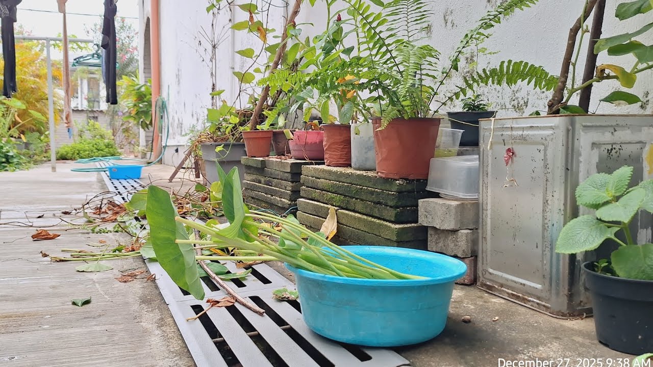 OFW Diaries | Preparing for CNY 2026 | General Cleaning 