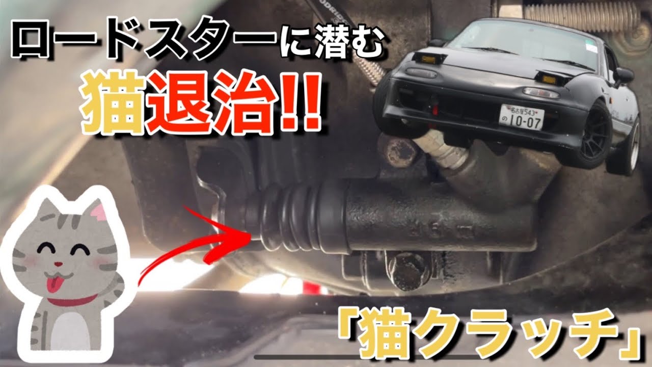 【猫クラッチ】ロードスターに潜む猫退治!?【素人DIY】