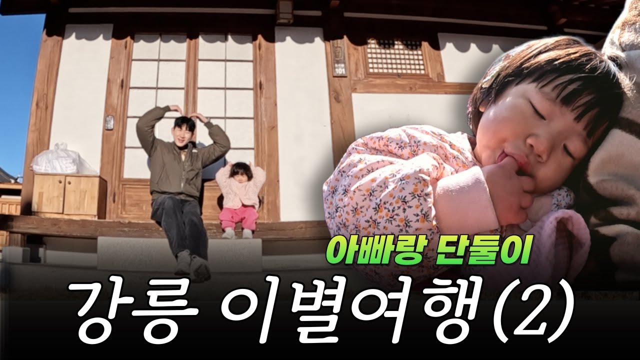 20개월 아기랑 아빠 단둘이 뚜벅이 강릉여행(2) | 오죽헌 유모차 대여, 경포호 자전거, 순두부맛집, 아기랑 강릉여행