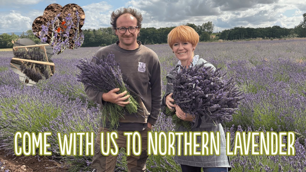 Behind the Scenes at Northern Lavender | Yorkshire Lavender Fields & Candle Making