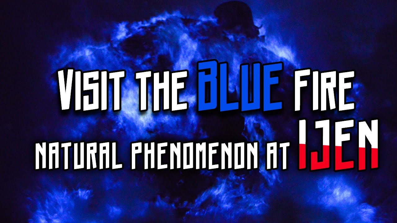Visit the Blue Fire Natural Phenomenon at Ijen before they stop Tourists -What to Expect!