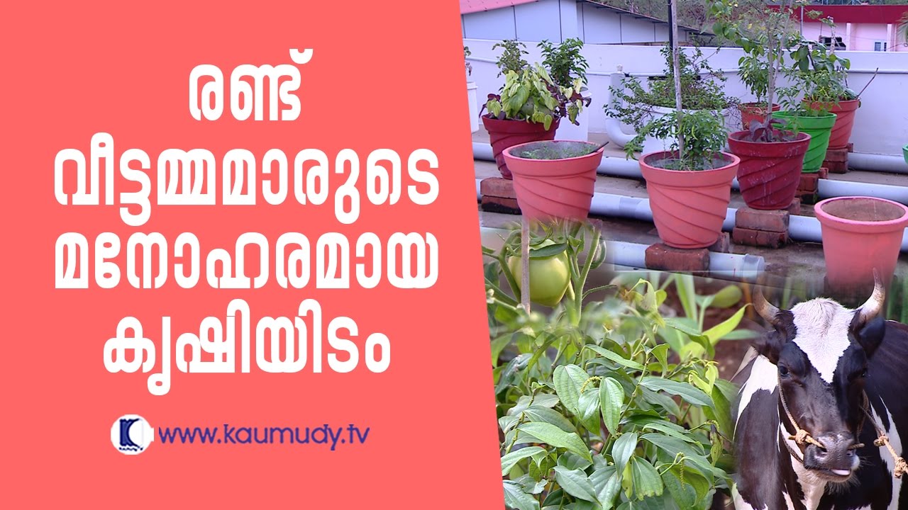 Farming area of two house-women | Haritham Sundaram EP 116 | Kaumudy TV