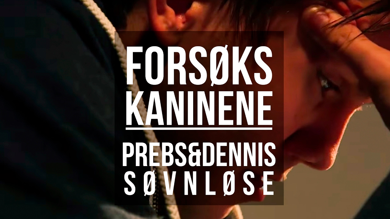PrebzOgDennis er s&oslash;vnl&oslash;se | Fors&oslash;kskaninene