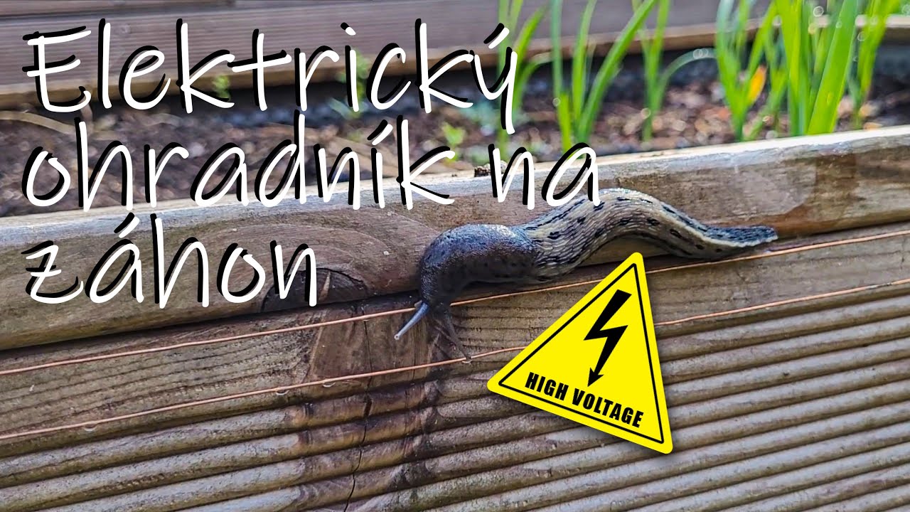 Elektrický ohradník na záhony!