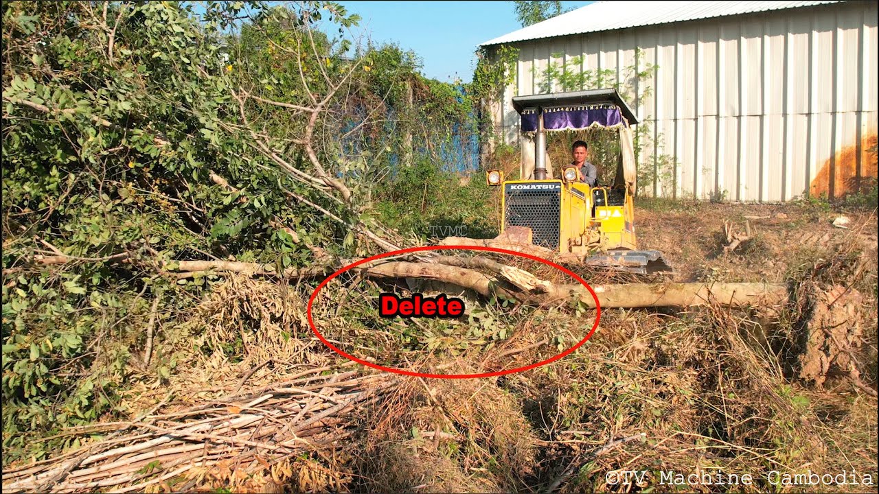 Impassive Experience Operating Of Delete Forest With Filling Land & Dump Truck Unloading Stone