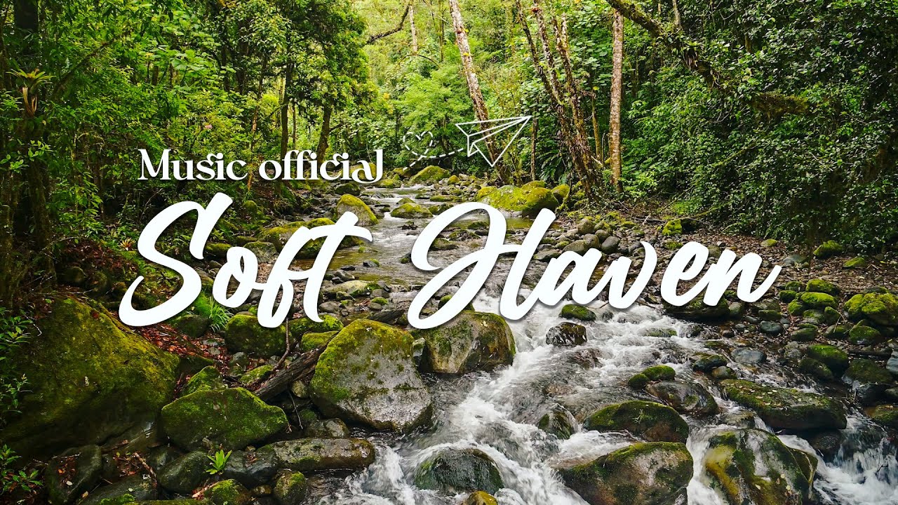 Soft Haven - Relaxing Piano Music 🎶 [ Relax Melody Rain ]