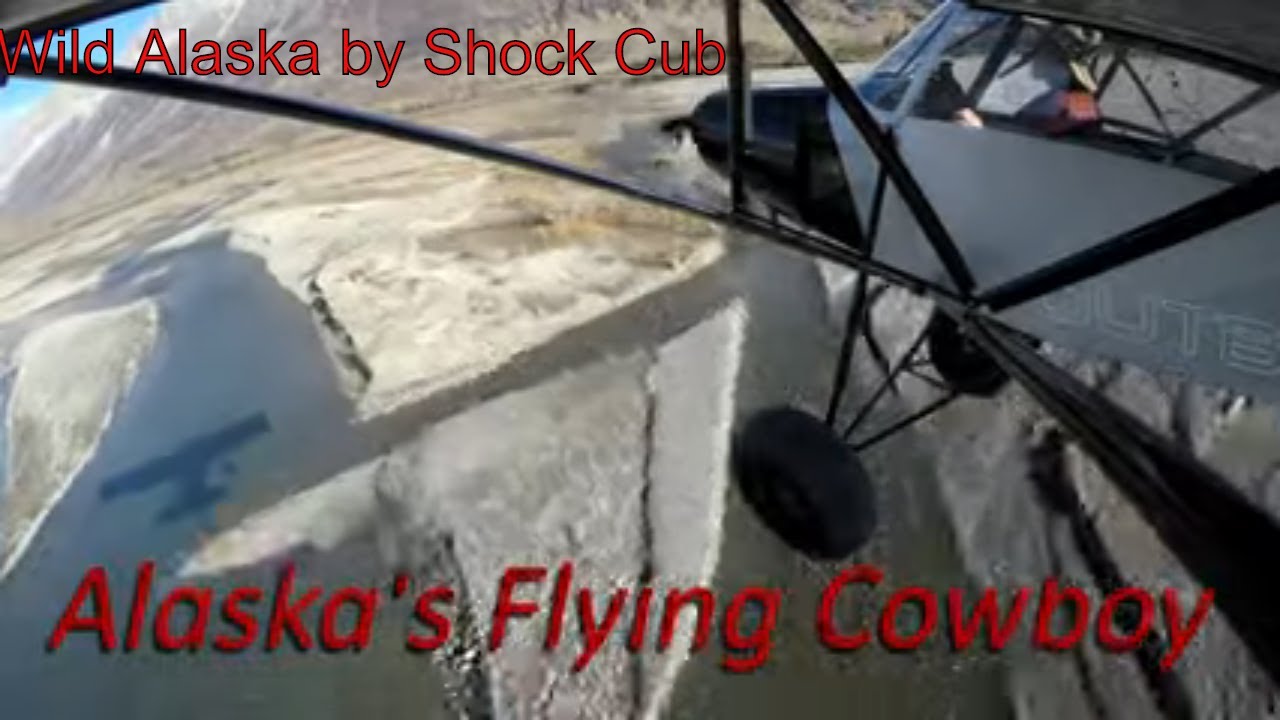 Wild Alaska by Shock Cub