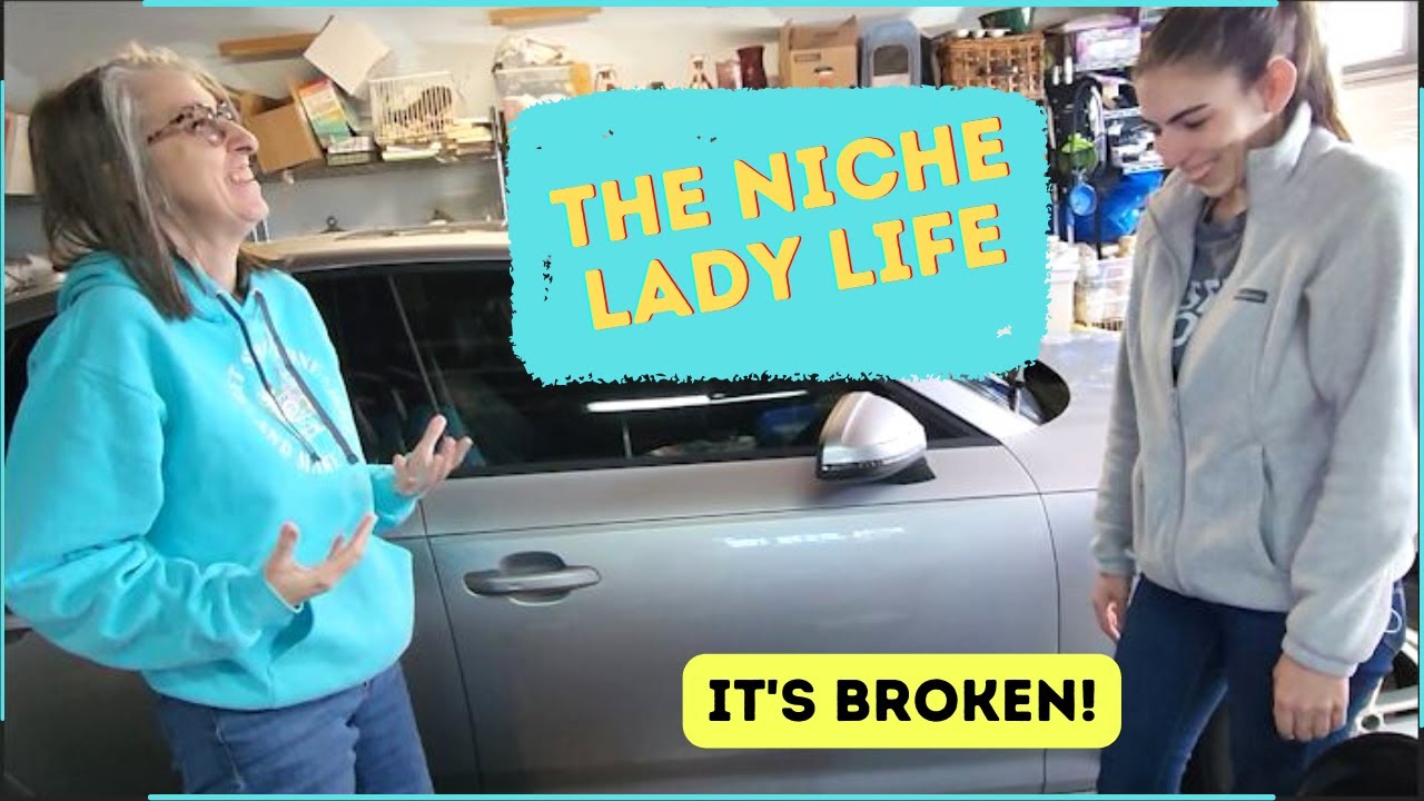 He Broke It | I Traveled 300 MIles to Help Her Ship | The Niche Lady Life