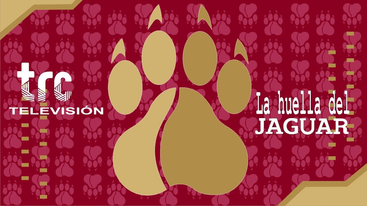 LA HUELLA DEL JAGUAR  14/01/26