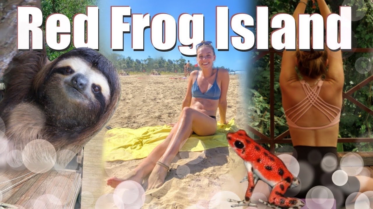 Finding sloths and red frogs 🦥 | Solo backpacking Panama 🇵🇦