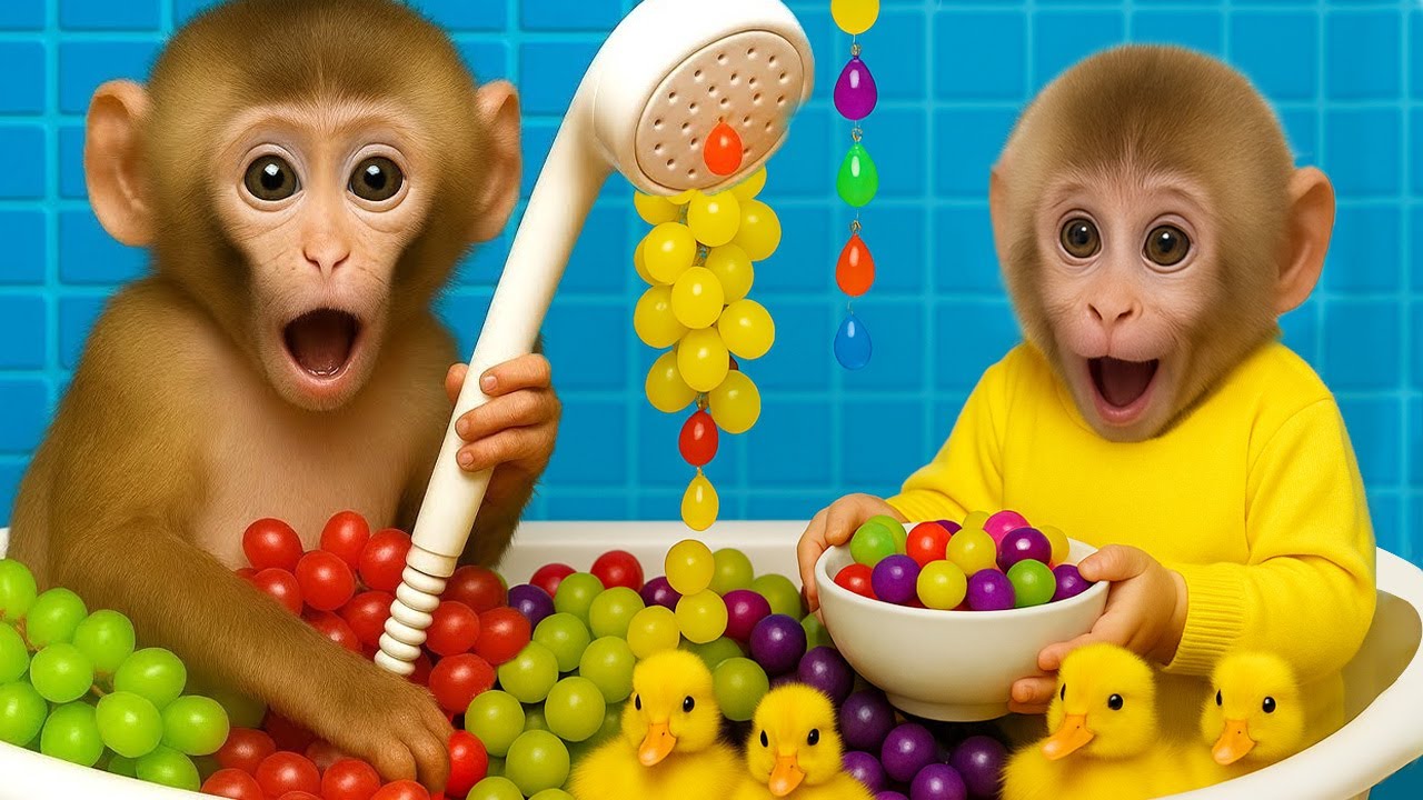 Beb&eacute; Mono DuDu va a la escuela con el pato y compra una pelota de arco&iacute;ris gigante - MONKEY DUDU