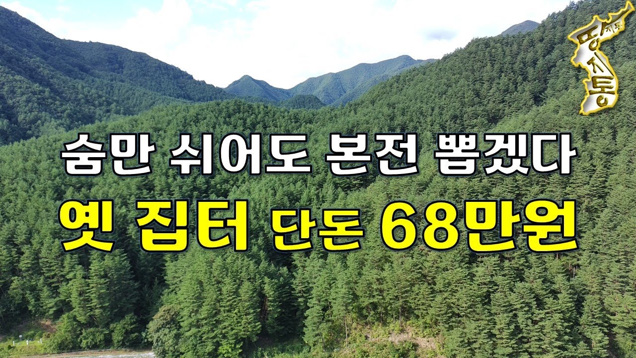 국유림 380만평 아래 산골낙원 옛집터 단돈68만원~이 땅에서 숨만 쉬어도 본전 뽑겠다[땅지통]