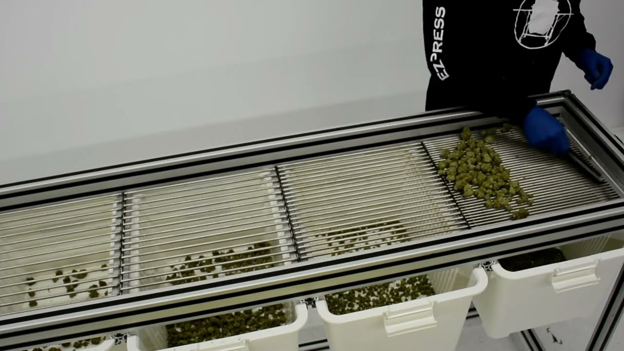 Cannabis Bud Sorter Review - Sonoran Roots