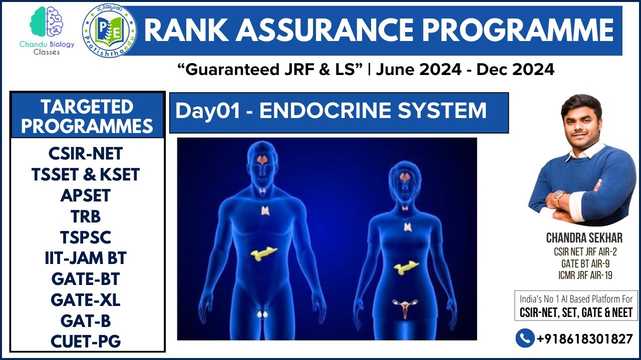 Endocrine System Day 1: The Ultimate Guide to Understanding Hormones #endocrine_system #tsset2024