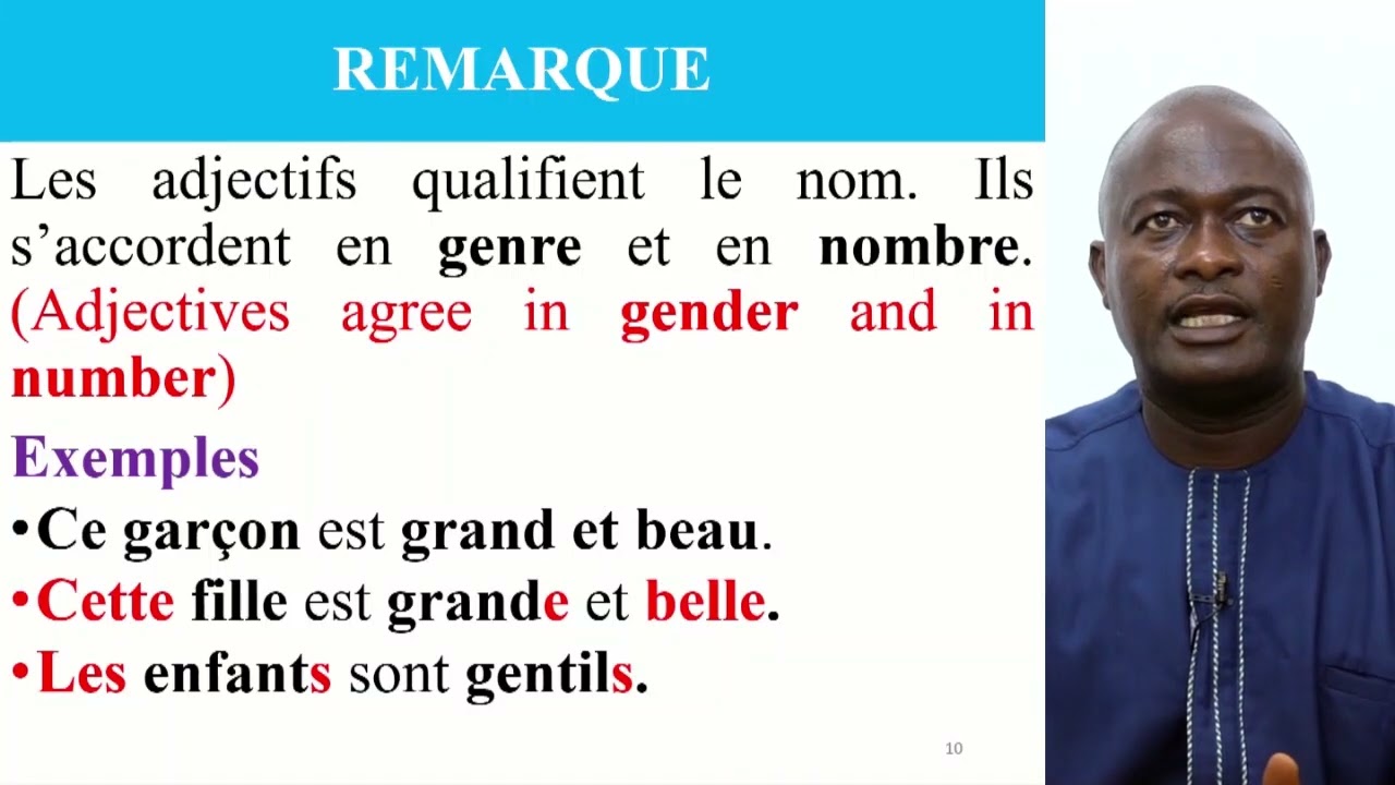 LESSON 2 : DÉCRIRE QUELQU'UN - DESCRIBING SOMEONE IN FRENCH