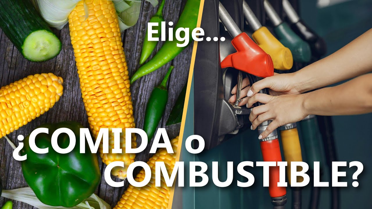 BIOCOMBUSTIBLES: ¿Solución o Problema para el Cambio Climático?