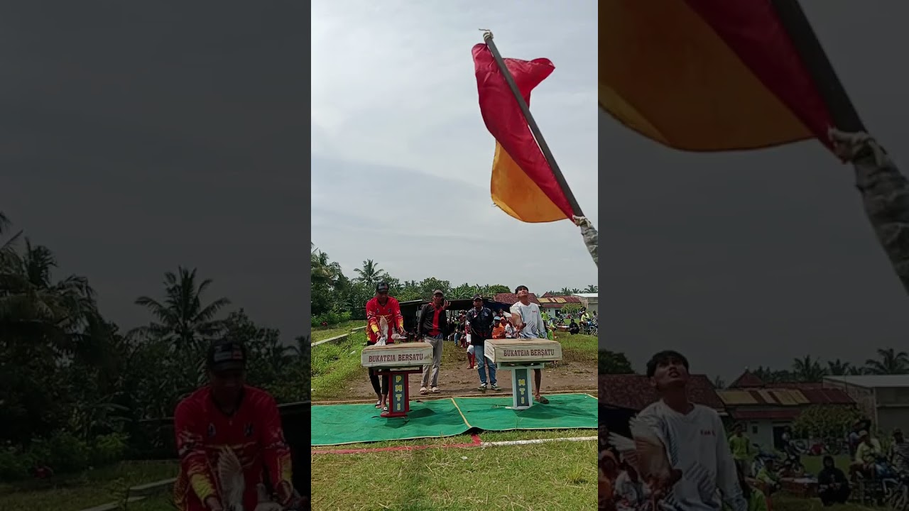 7 Februari 2026